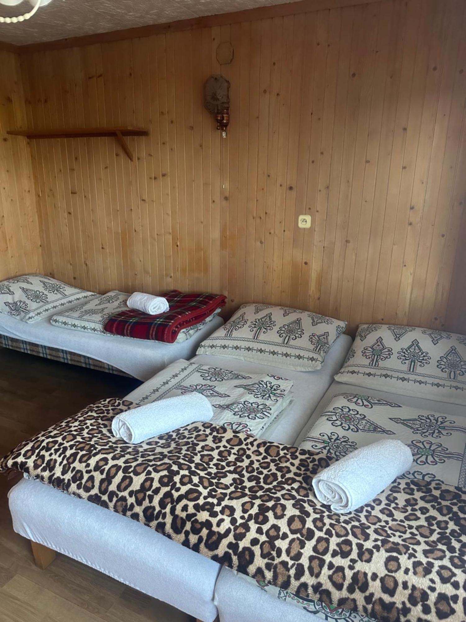 Pokoje gościnne u Zofii Bafia spółka z oo Bukowina Tatrzańska Exterior foto