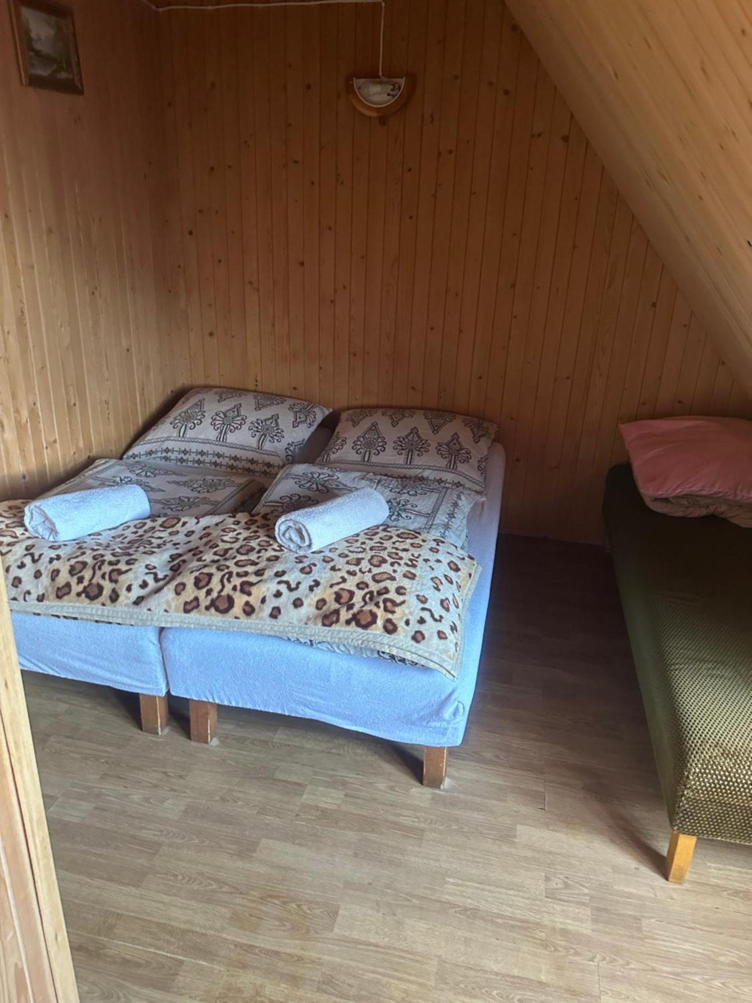 Pokoje gościnne u Zofii Bafia spółka z oo Bukowina Tatrzańska Exterior foto